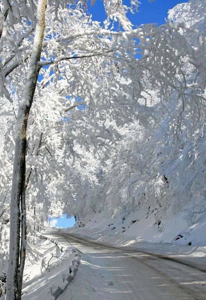 Winter Magic In West Virginia
