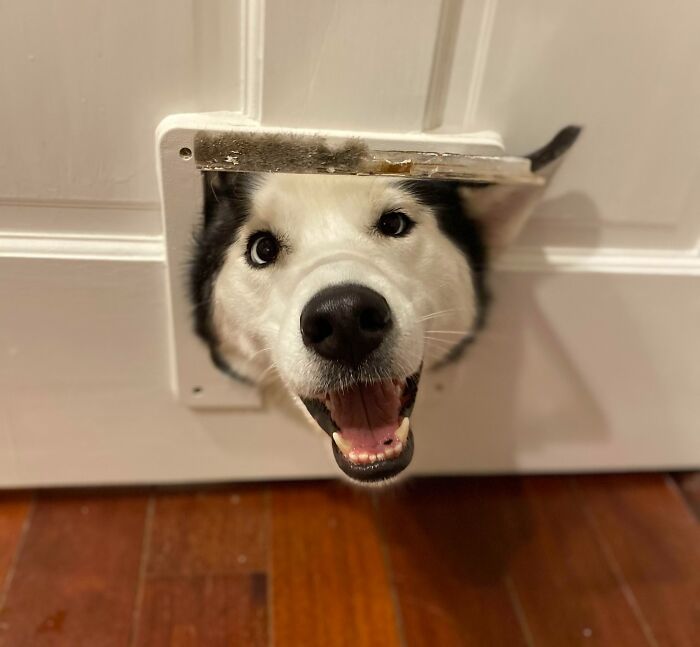 Am I Doing This Right?!