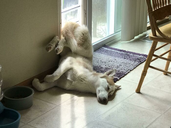 Just A Normal, Comfortable Sleeping Position