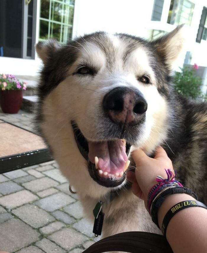 His Face After My Girlfriend Called Him Handsome
