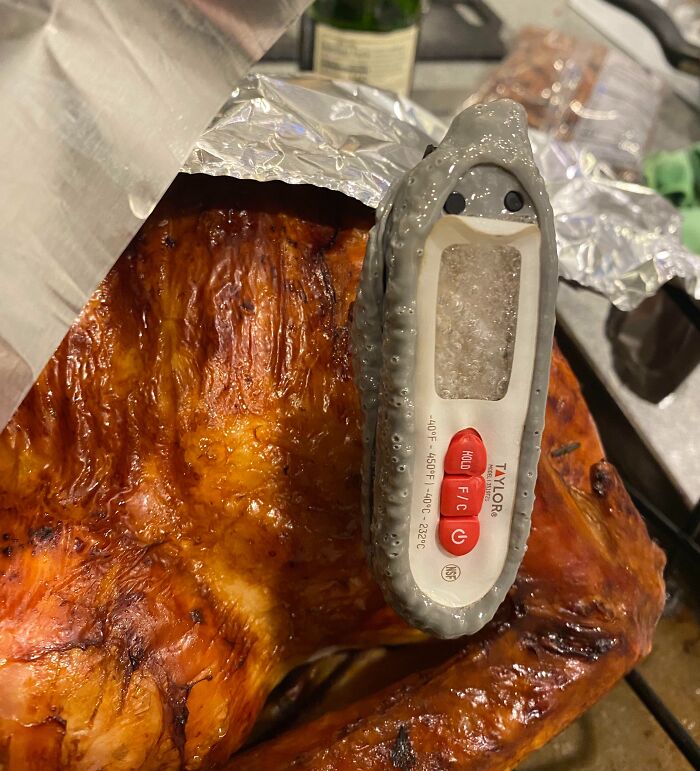 Guess Who Forgot To Take The Thermometer Out When I Checked On The Turkey