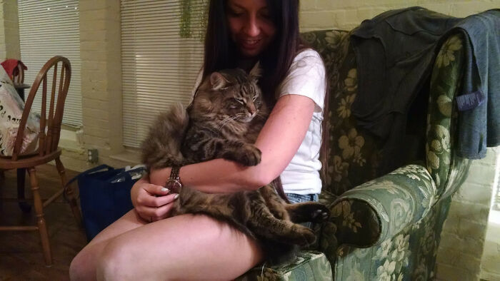 My Girlfriend And Her Maine Coon Baby