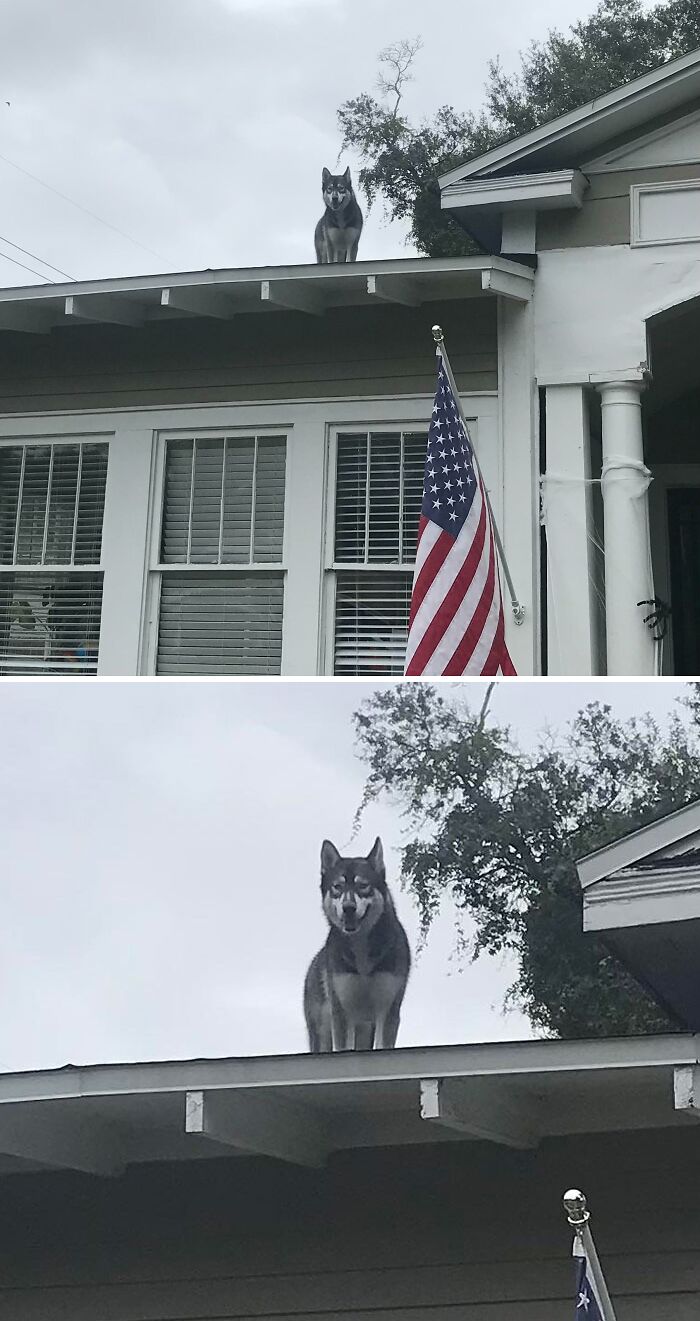 Adora Is A Bit Of A Daredevil