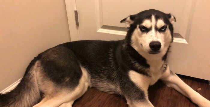 My Wife Sent Me This After I Left For Work. She Did Not Want Me To Leave