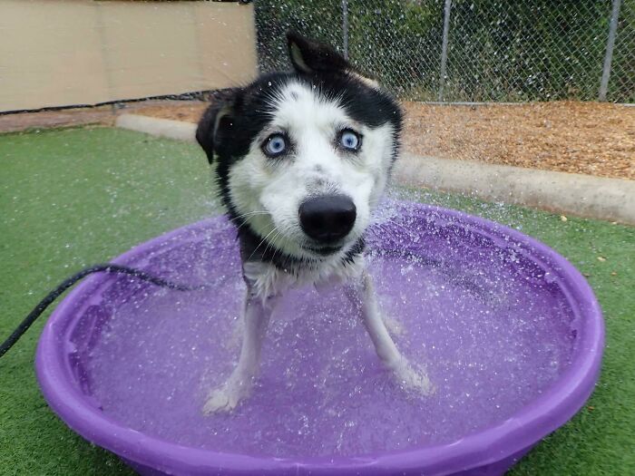 Daycare Was Able To Capture This Gem