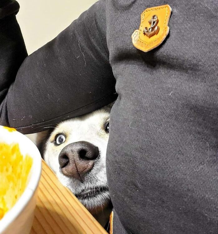 Every Bite You Take, Every Lunch You Make, Every Time You Bake, Every Piece Of Steak, I'll Be Watching You