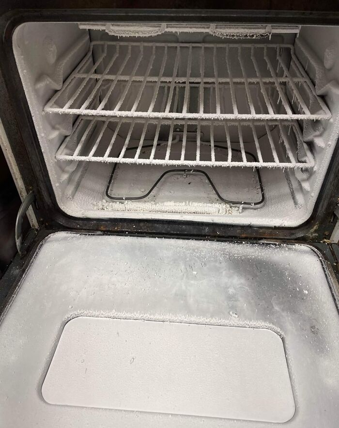 My Mom Set Her Oven To Self Not Remembering That She Had Silicone Rack Guards In There