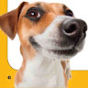 emanuelgarciadeanda avatar