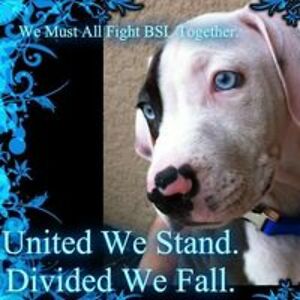 xxxxvalkyriexxxx avatar