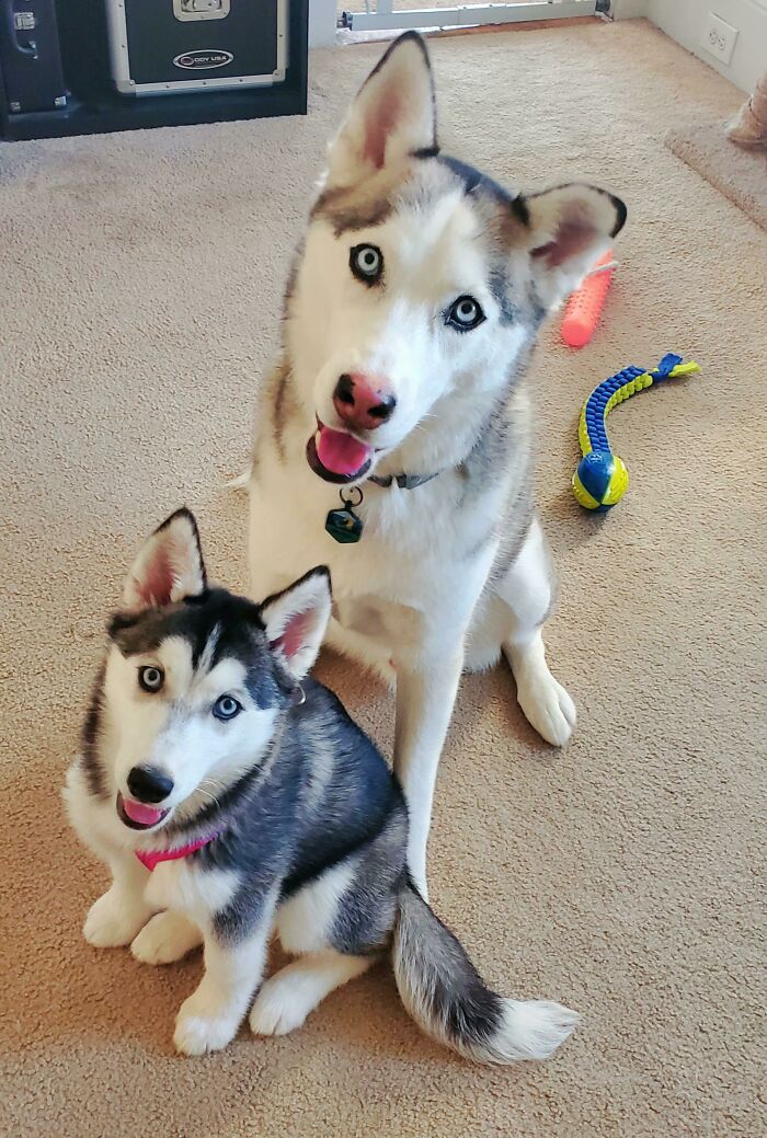He Loooves His New Sister
