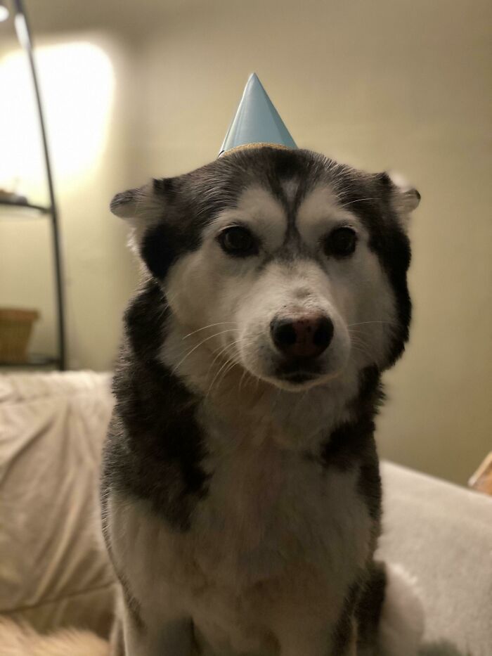 Do I Have To Wear The Hat Dad?
