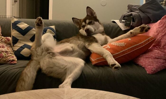 Draw Me Like One Of Your French Girls