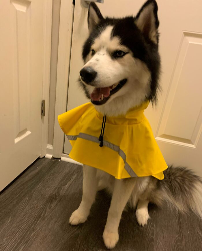 His Raincoat Is A Little Too Small And Makes His Head Look Massive