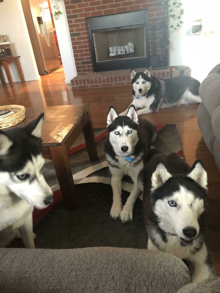 Mother, We Have Taken A Vote. We Voted 4-0 That It Is Snack Time