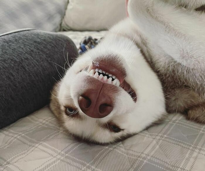 Love Mommy Belly Rub