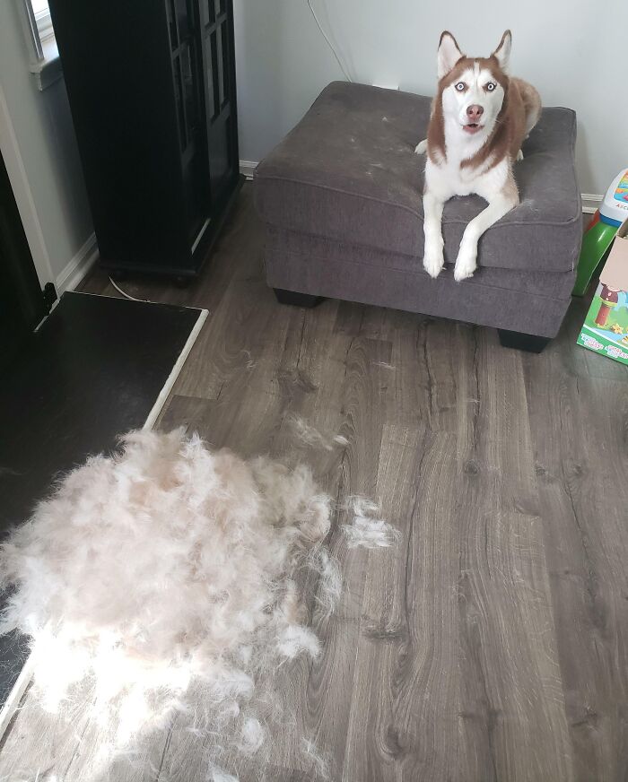 New Reality After Adopting