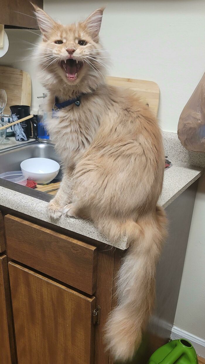 He Was Mad I Wouldn't Turn On The Sink