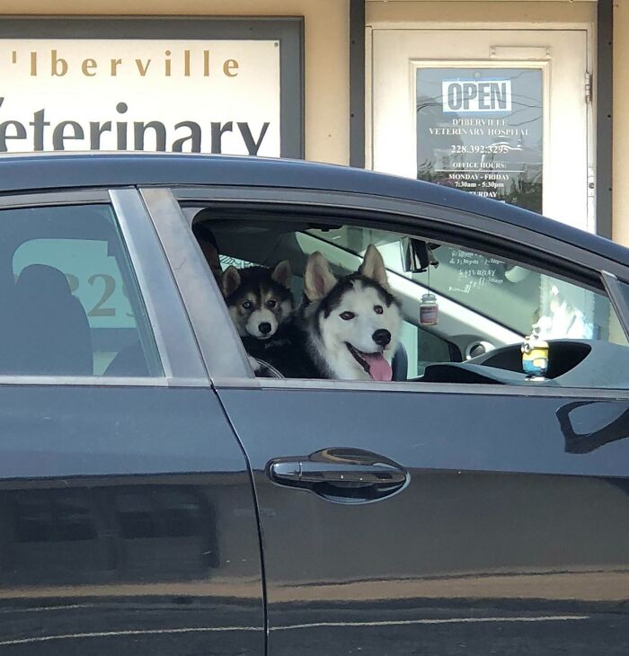 Get In Loser, We’re Going Shopping