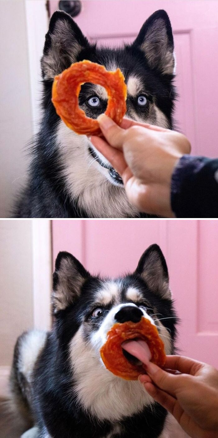 Eye See A Yummy Treat In Your Future