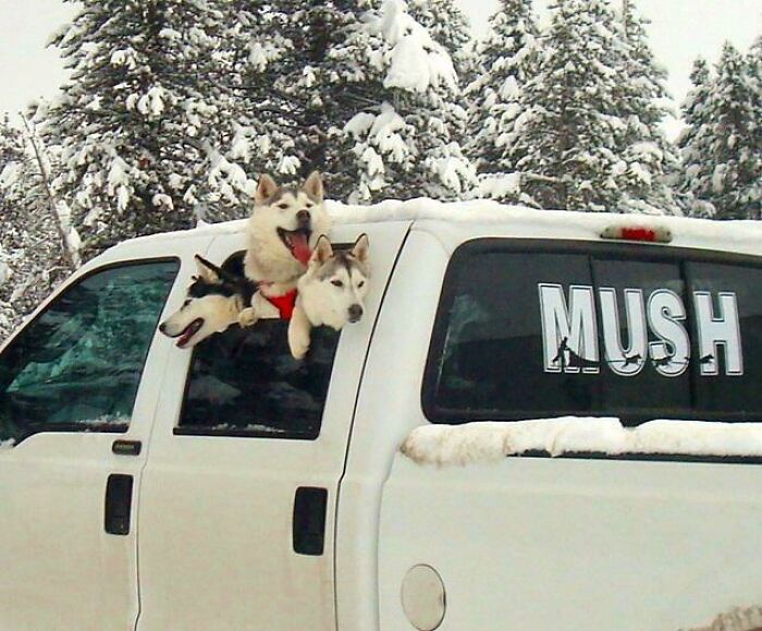 We're Ready To Goooooo!!