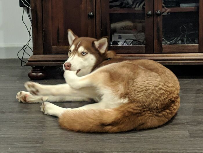 Sometimes, You've Just Gotta Chew On Feet