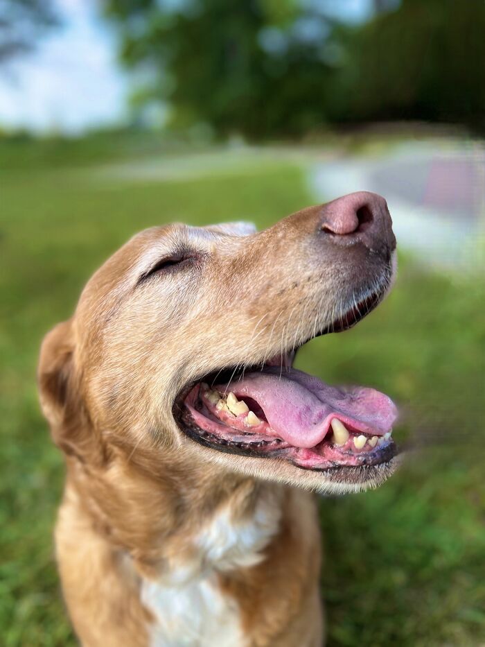 Pictures I’ve Taken Recently (10 Pics)