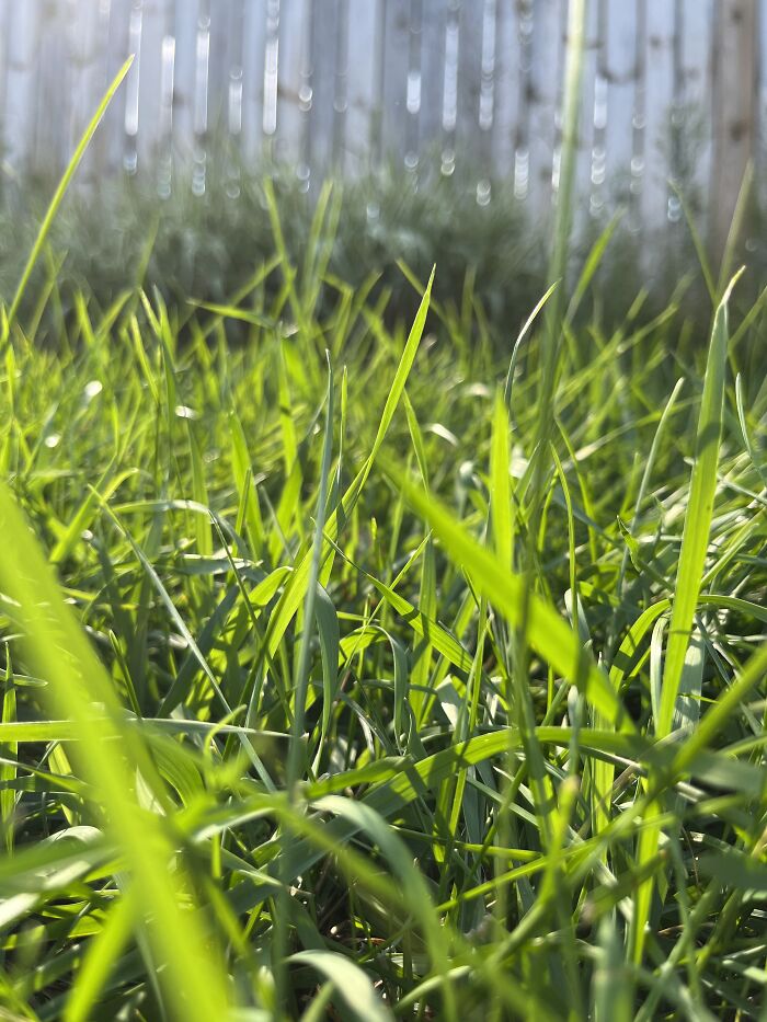 Pictures I’ve Taken Recently (10 Pics)