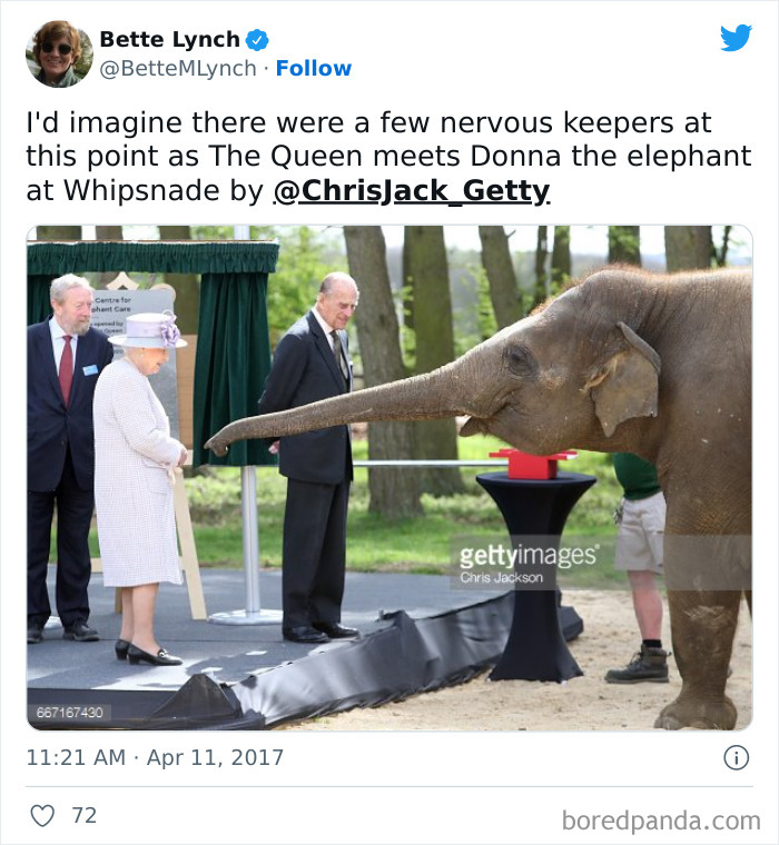 She And Prince Philip Met Donna The Elephant In 2017