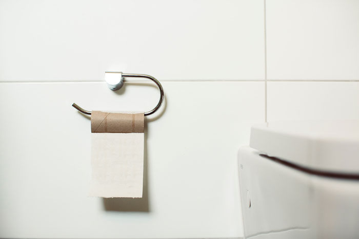 Toilet paper roll without toilet paper