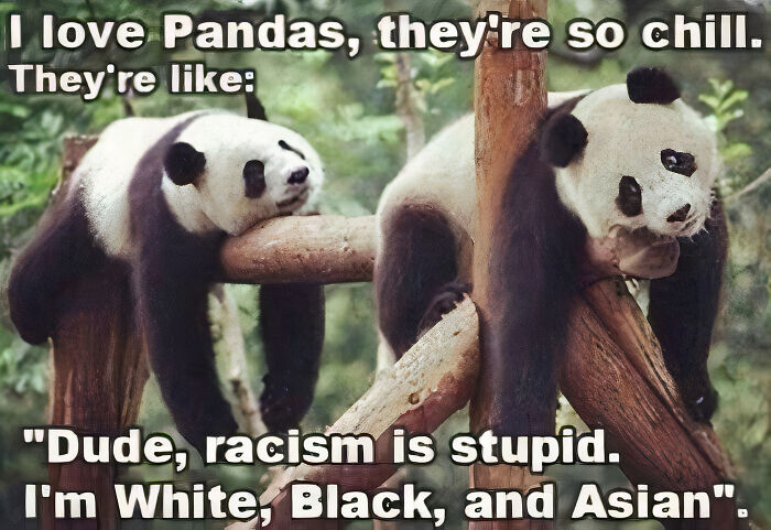Pandas Are Awesome