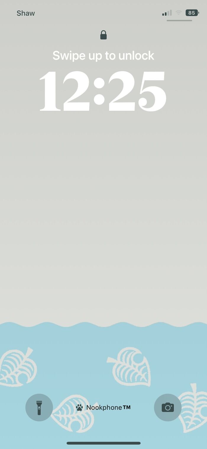 I Accidentally Take Screenshots All The Time, So Here :>