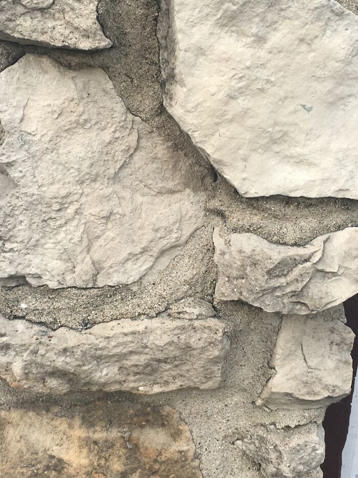 Posted This Guy Twice Today! See Him??