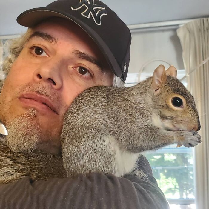 Baby Squirrel Chose This Man Instead Of Wilderness After Being Rejected By Her Mother, And The Internet Is Here For It Baby Squirrel Chose This Man Instead Of Wilderness After Being Rejected By Her Mother, And The Internet Is Here For It