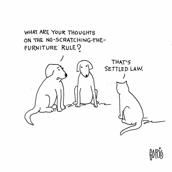 Artist Makes Funny One-Panel Comics That Truly Reflect Our Everyday Life (New Pics)