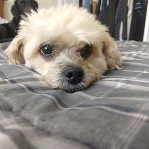 Bill Nye Doesn’t Lie