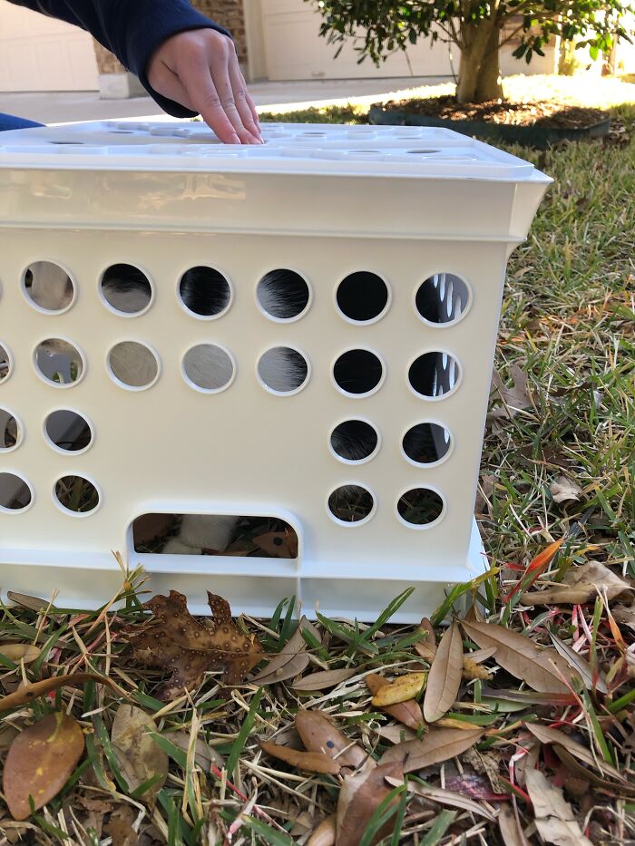 I Look Cruel But I Promise I'm Not