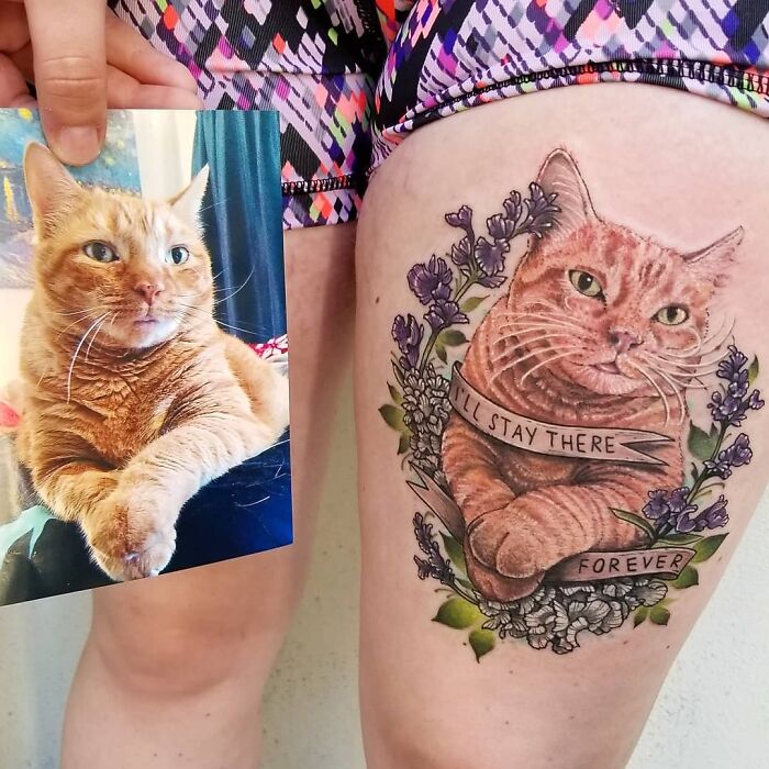 Orange cat tattoo