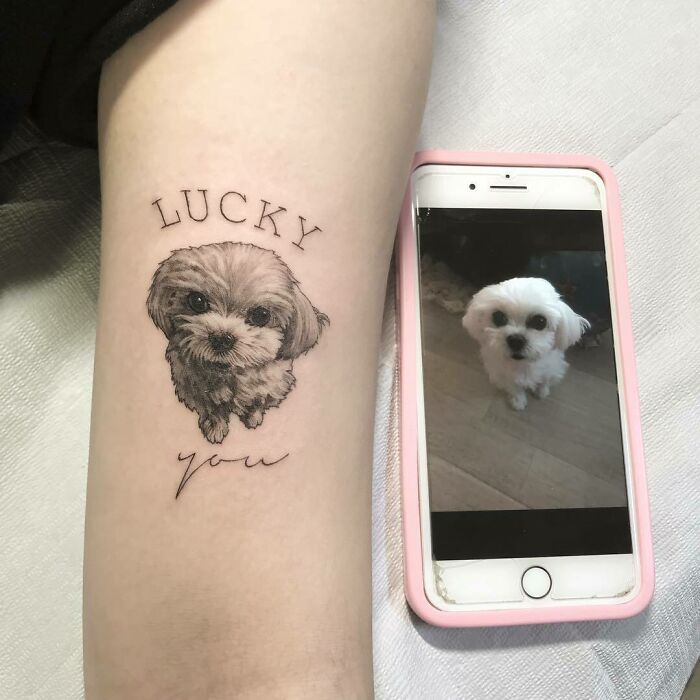 Lucky The Dog