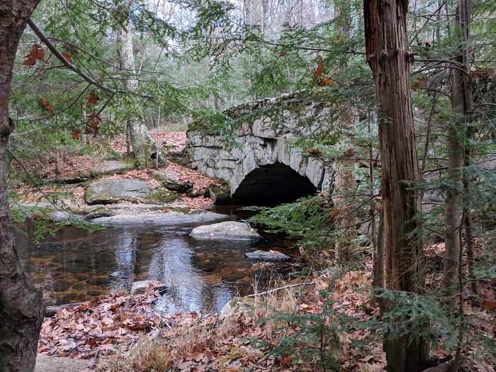 Pictures Of Bridges That I Took (13 Pics)