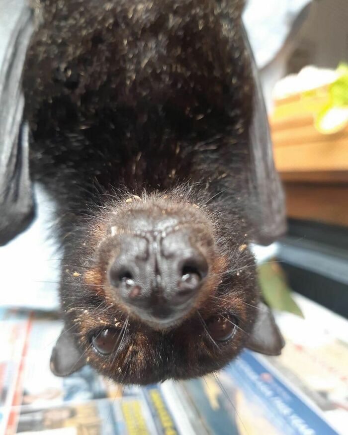 Do You Have Any Games On Your Phone?