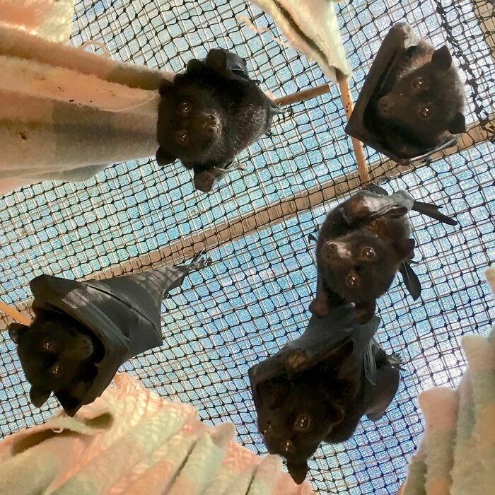 Hello Down There! Is It Feeding Time Yet?