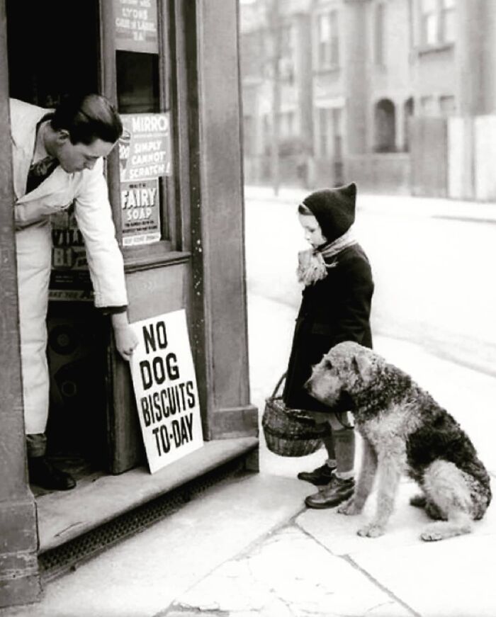 No Dog Biscuits Today, London, 1939