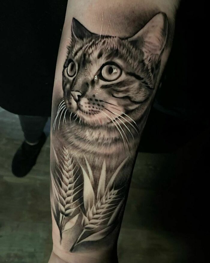 Cat arm tattoo 