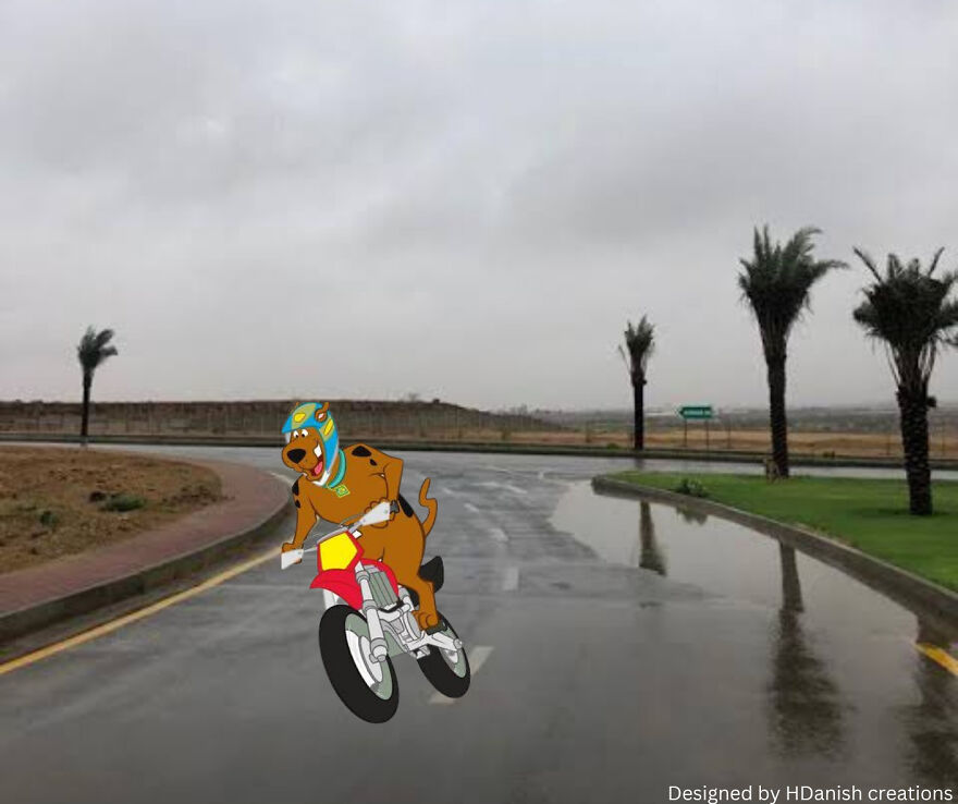 Cartoons Life In Pakistan