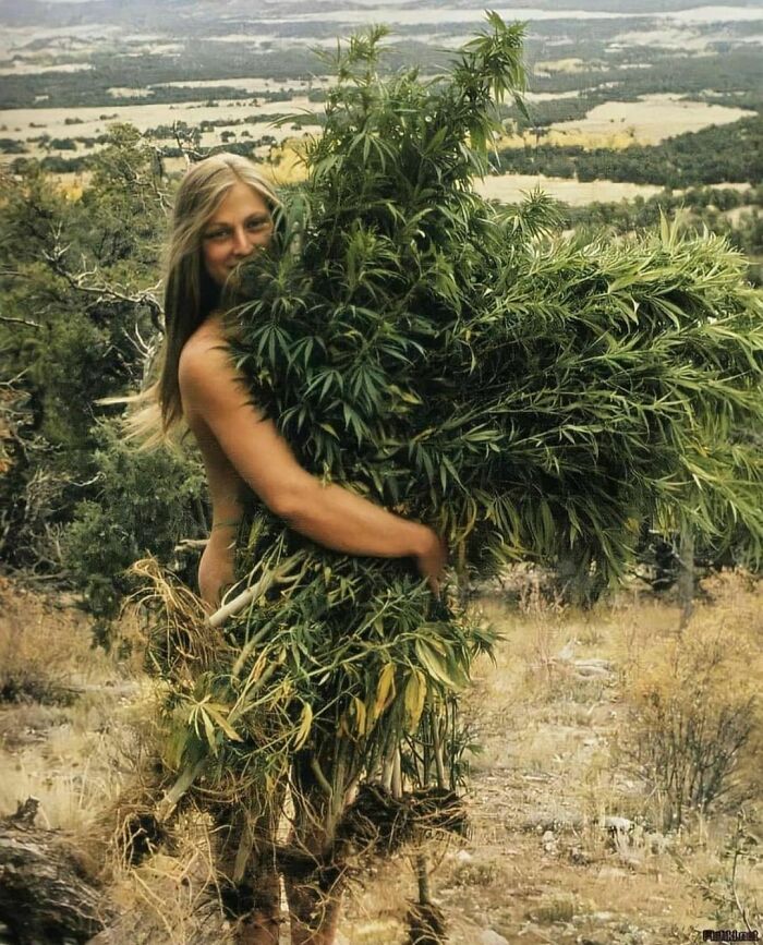 Una chica con un arbusto enorme