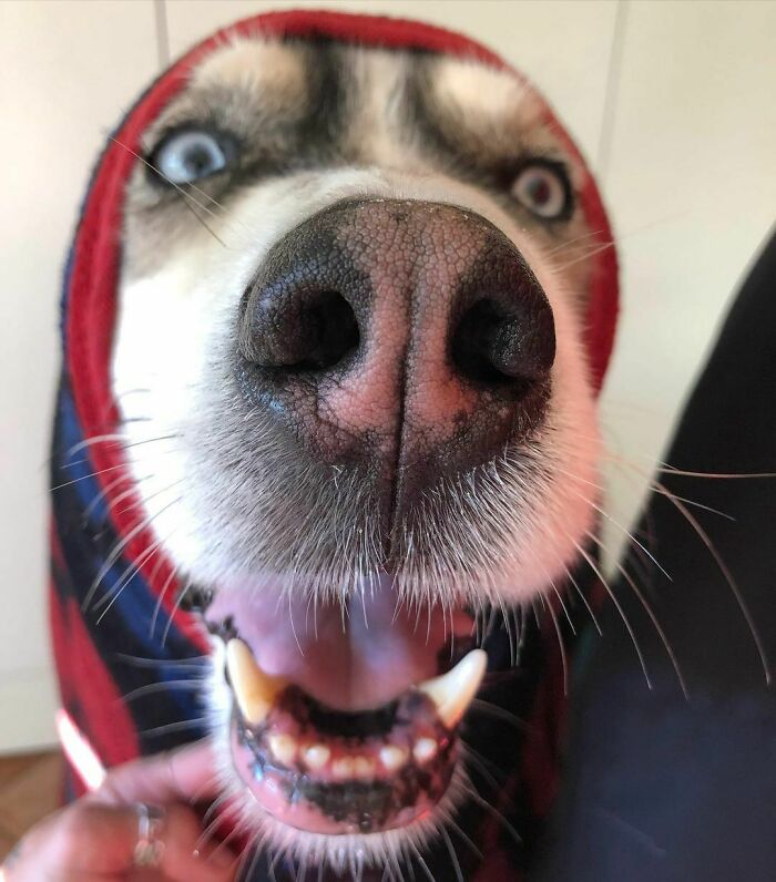 Cooling Down With A Cold Towel