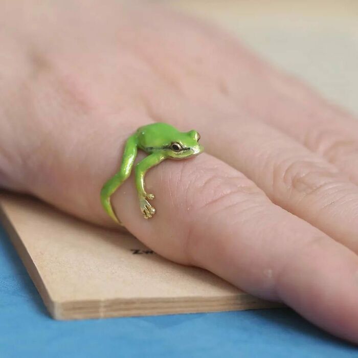 Tree Frog Accessories