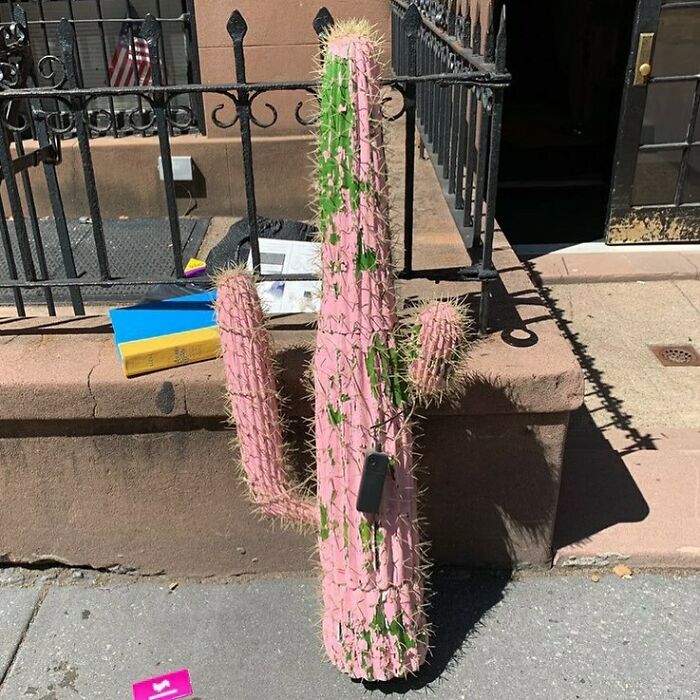 This Might Not Only Be A Pink Cactus, But The Stooper Pointed Out It Has A Switch