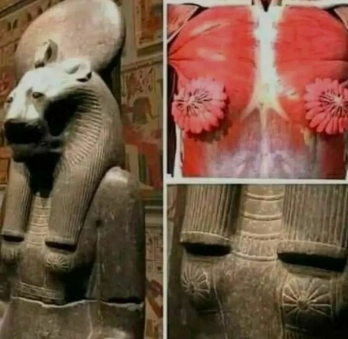 Ancient Egyptians Wonders