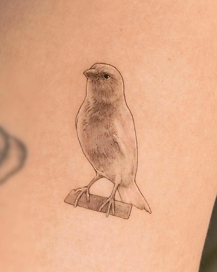 Parrot tattoo 